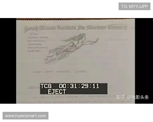 ST红白搜查档案:10年前悬案重现,她隐藏的3个秘密,最终暴露了惊天阴谋 ST红白搜查档案:10年前悬案重现,她隐藏的3个秘密,最终暴露了惊天阴谋